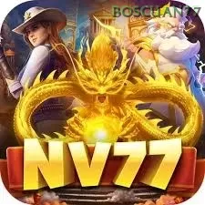 Nv77 boscuan77